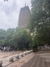 宜家依隔音耳塞睡眠超強防噪音超級降噪睡覺(jué)靜音助眠不傷耳朵專(zhuān)業(yè)款10枚 曬單實(shí)拍圖