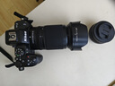 尼康（Nikon）Z50II半畫(huà)幅新手入門(mén)級(jí)微單相機(jī) 高清攝影攝像拍照 直播美顏?zhàn)耘谋銛yvlog z50二代無(wú)反相機(jī) Z50II + 16-50+50-250雙套機(jī) 曬單實(shí)拍圖