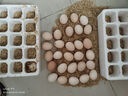 對面小城現(xiàn)撿鮮雞蛋土雞蛋 柴雞蛋農(nóng)家散養(yǎng)單枚40±5g 30枚 曬單實拍圖