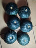 京鮮生 內蒙精品貝貝南瓜(超甜瓜)凈4.5斤單果300g+不愛(ài)吃包退 源頭直發(fā) 曬單實(shí)拍圖