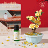 上新了文創(chuàng  ) 故宮香薰桂花盆景禮盒 擴香石持久發(fā)財居家擺件送女友教師節禮物 曬單實(shí)拍圖