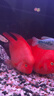 SQG智能變頻加熱棒 適配小米魚缸/當(dāng)貝魚缸 自動(dòng)恒溫多功能精準(zhǔn)控溫 二代升級款100W智能變頻加熱棒 曬單實(shí)拍圖