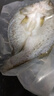 鮮京采三去海鱸魚(yú)3斤/3條 生鮮魚(yú)類(lèi) 白蕉鱸魚(yú)地標 中秋家宴魚(yú)類(lèi)源頭直發(fā) 曬單實(shí)拍圖