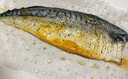 鮮馳挪威進(jìn)口青花魚片鯖魚新鮮冷凍大號(hào)鮐鲅魚日式鹽漬青占魚燒烤商用 1000g【5片裝190g-220g/片】?jī)糁?曬單實(shí)拍圖
