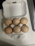 伊勢卵鮮雞蛋20枚可生食新鮮可做溏心蛋未檢出沙門(mén)氏菌抗生素1.16kg 20枚 曬單實(shí)拍圖