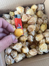 東北姑娘果新鮮當季水果黃菇娘燈籠果酸甜可口甜菇娘特產(chǎn)京東包郵 【帶箱3斤】東北姑娘果 曬單實(shí)拍圖