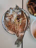 仙泉湖三去白蕉海鱸魚(yú)1斤/條凈膛冷凍刺少肉厚珠海特產(chǎn)500g生鮮食材 曬單實(shí)拍圖