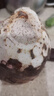 生鮮密語廣西荔浦芋頭 地標(biāo)農(nóng)產(chǎn)品 粉面香芋 根莖類新鮮蔬菜 生鮮火鍋食材 3斤凈重2.9斤 大芋(單果450g） 曬單實(shí)拍圖