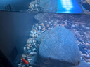 迪普爾 魚(yú)缸造景裝飾假山溪流石主石大塊巖片石頭片巖水陸缸原生態(tài)底砂 曬單實(shí)拍圖
