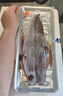 蒲燒鰻魚(yú) 1條裝 400g 曬單實(shí)拍圖