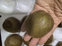 京鮮生陜西徐香綠心獼猴桃 24枚單果90-110g  新鮮水果 源頭直發(fā) 包郵 曬單實(shí)拍圖