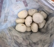 悅味紀 嵊州老面鮮肉小籠包800g 約30只 手工包子 早餐半成品 速食 曬單實(shí)拍圖