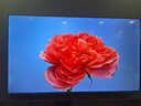 海信電視32E2FD 32英寸 高清 智能投屏 Unibody超薄懸浮全面屏 智能液晶平板電視機 門(mén)店電視 以舊換新 曬單實(shí)拍圖