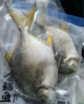 1號(hào)會(huì)員店（One's Member）甄選海南二去金鯧魚去鰓去內(nèi)臟生鮮魚類 海鮮水產(chǎn) 700g/2條裝 曬單實(shí)拍圖