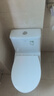 箭牌（ARROW）T32抽水馬桶虹吸坐便器小尺寸座便小戶(hù)型坐廁AEB12616M 305坑距 曬單實(shí)拍圖