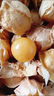 東北姑娘果東北特產(chǎn)燈籠果新鮮水果姑鳥(niǎo)黃菇娘果整箱現摘包郵3斤 【限時(shí)嘗鮮】?jì)糁?00g 【東北頭茬】精選好果|香甜爆汁 曬單實(shí)拍圖