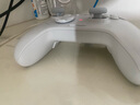 飛智冰原狼3  多模版無(wú)線游戲手柄 類(lèi)xbox杠桿霍爾搖桿switch電腦PC手機(jī)steam體感NS 曬單實(shí)拍圖