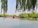 溫氏 天露土烏雞2斤 元氣滿(mǎn)滿(mǎn) 七黑標準土烏雞整雞 冷凍 養生湯 曬單實(shí)拍圖