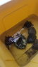 龜真壽 六合一龜糧 300g  烏龜飼料巴西龜蝦干面包蟲魚干六拼草龜海鮮糧 曬單實拍圖