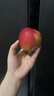 京鮮生 Mr Apple新西蘭皇后紅玫瑰蘋果12粒 單果130-170g 中秋水果禮盒 曬單實拍圖
