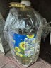 金龍魚(yú) 食用油 物理壓榨葵花籽油6.18L 曬單實(shí)拍圖