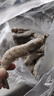海之幫新鮮青島大蝦超大蝦凍蝦白蝦鮮活冷凍對蝦大號青蝦海鮮批發(fā) 16-18厘米活蝦速凍 3斤(凈重) 曬單實(shí)拍圖