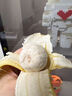 正宗廣西小米蕉新鮮香蕉粉糯香蕉酸甜小香蕉現(xiàn)砍現(xiàn)發(fā)新鮮熱帶水果 5斤 曬單實拍圖