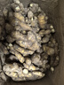 京鮮生 云南小黃姜 5斤裝 生姜 老姜 新鮮蔬菜 源頭直發(fā) 曬單實(shí)拍圖