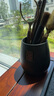 尚言坊茶道六君子套裝茶夾子茶刀茶勺茶針茶盤刮杯叉養(yǎng)壺筆功夫茶具配件 曬單實(shí)拍圖