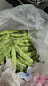 【順豐發(fā)貨】東北油豆角農家新鮮蔬菜九月青開(kāi)鍋爛寬面油豆角 2500g【順豐快遞】 曬單實(shí)拍圖