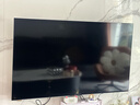 海爾（Haier）電視機(jī)H5C系列75/65/55英寸國家補(bǔ)貼144Hz高刷高色域全面屏3+64GB超薄游戲智能4K平板電視一級能效 65英寸 新品上市一級能效+3+32G 144HZ 曬單實(shí)拍圖