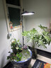 DEATKN德國全光譜植物生長(cháng)補光燈仿太陽(yáng)光模擬燈室內養綠植花卉植物燈落 有定時(shí)有調光-100W丨配支架可上 曬單實(shí)拍圖