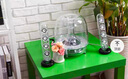 哈曼卡頓教師節禮物SoundSticks 3室內多媒體桌面電腦有線(xiàn)音箱低音炮 環(huán)繞立體聲 曬單實(shí)拍圖