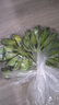 三萌果蔬廣西小米蕉【青蕉發(fā)貨收到需催熟】芭蕉新鮮水果應(yīng)季香蕉現(xiàn)摘現(xiàn)發(fā) 凈重4.5斤 嘗鮮果【香甜軟糯】 曬單實拍圖