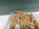 北京同仁堂胖東來四川麥冬正宗一等品綿陽野生無硫中藥材麥門冬干貨泡水煲湯 [野生麥冬]500g買一罐送一罐【發(fā)兩罐】 正宗特級野生四川麥冬官方店旗艦 曬單實拍圖