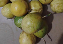 正宗廣西欽蜜9號百香果新鮮水果北城現摘香甜營(yíng)養豐富多汁鮮果 凈果5斤裝大果單果60-70 曬單實(shí)拍圖