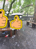 范爺家太陽(yáng)傘防曬黑膠防紫外線晴雨傘三折學(xué)生兩用傘便攜折疊遮陽(yáng)傘 曬單實(shí)拍圖