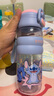 迪士尼（Disney）水杯大容量?jì)和\動(dòng)水壺高顏值雙飲杯小學(xué)生上學(xué)專(zhuān)用喝水杯 曬單實(shí)拍圖