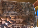 良品鋪子長白山紅松500g 東北手剝松子仁每日堅果量販零食中秋送禮團購 曬單實拍圖