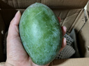 京覓四川凱特芒果新鮮水果凈重4.5斤單果400g+源頭直發(fā)包郵 曬單實(shí)拍圖