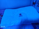 南極人乳膠枕頭芯家用一對護頸枕睡眠頸椎枕深度睡覺(jué)專(zhuān)用高男士整頭枕心 太空艙乳膠藍色-中枕 一對 曬單實(shí)拍圖