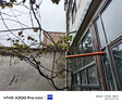 vivo X系列 vivo X100/X100 pro /X200  二手手機 顏色查看質(zhì)檢報告 vivo X200 Pro mini 曬單實(shí)拍圖