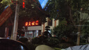【2026學(xué)年】2025秋新版點(diǎn)撥七年級上冊同步新版教材 初一知識點(diǎn)梳理解讀練習題 七年級上下冊課本全解全析 七年級上冊【英語(yǔ)】人教版（25秋新版） 曬單實(shí)拍圖