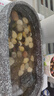 寵小帥 古法養(yǎng)魚缸生態(tài)造景碗蓮陶瓷盆陽臺水培池家用客廳小型裝飾荷花睡花盆小烏龜缸庭院復(fù)古仿石頭魚缸 【陶瓷盆雪花灰】碗蓮10顆+溪流石500g+青龍石 曬單實(shí)拍圖