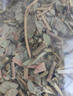 花色堂大葉金錢(qián)草500g利尿祛火輕松排石曬干金錢(qián)草 茶進(jìn)石出-金錢(qián)草500g 曬單實(shí)拍圖