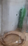 【洗杯子神器】水杯茶壺茶垢清潔劑除垢劑去茶垢咖啡垢清潔劑茶漬 去垢神器囤貨裝3瓶300g 曬單實(shí)拍圖