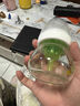 BUBBLE TREE【0-1歲護脊斜坡枕】新生嬰兒防吐奶寶寶防嗆奶脹氣枕頭56*60 曬單實拍圖