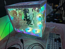 華碩全家桶追影i5 14400F/14600KF/5060/5060Ti/5070黑神話三角洲游戲臺式電腦主機(jī)直播設(shè)計組裝整機(jī) 規(guī)格二丨i5 13400F/RTX5060 曬單實拍圖