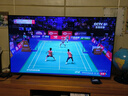 東芝電視小芝士65Z600QF PRO 65英寸 音畫雙芯Mini LED 火箭炮音響 300Hz 4K高清智能 家電國家補貼 曬單實拍圖