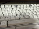 羅技（Logitech）ALTO KEYS K98M 琥珀系列 AI客制化無(wú)線(xiàn)機械鍵盤(pán) 熱插拔大理石軸 白色 曬單實(shí)拍圖